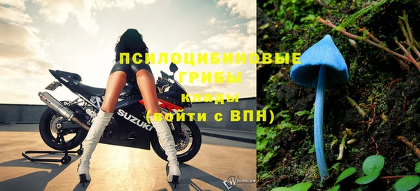 тгк Богданович